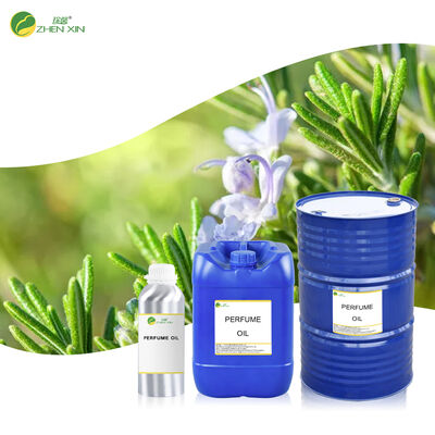 Wholesale Bulk Rosemary Essential Oils for Perfumes Rosemary Scented Oil for Soap and Detergent Perfume Oil Fragrance