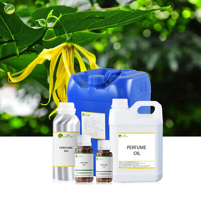 Nước hoa dựa trên dầu Thương hiệu cho phụ nữ và nam giới Thiết kế nước hoa dầu cuộn trên dầu nước hoa để xịt cơ thể